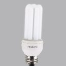 필립스(장미) 이미지