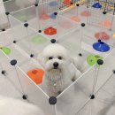 주견야독 이미지