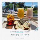 케이크한입시그니쳐카페 | 황리단길베이글 놓치지 마세요! 케이크한입 시그니쳐카페 솔직 후기
