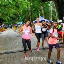 지상낙원 이미지