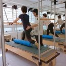 제스트(501) 이미지