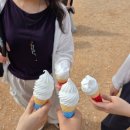 씨유 남산외대로점 | 몽골여행 마지막일정, 차강소브라가와 카라반세라이, 울란바토르