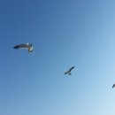 (주)오케이자동차정비센타 이미지