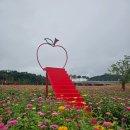 산소카폐 청송정원 (2) 이미지