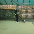 풍산초등학교병설유치원 | 모래소독 전문업체 키제코 모래소독 39527번째 경기도 풍산초등학교병설유치원