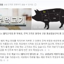 으랏차주먹고기 이미지