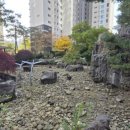 대치1-109 이미지