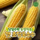 구룡농장 이미지