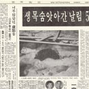 와우건설(주)