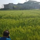 낭산농장 이미지