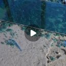 국제태권도장 이미지