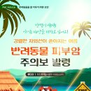 다솜동물메디컬센터 이미지