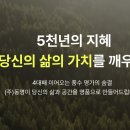 주식회사 살다 - 중구 | 주식회사 살다
