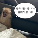 지움커뮤니케이션 | 일본어회화 전화일본어 추천 <미미일본어> 내돈내산 4개월 찐후기! (+ 왕초보에서 일본취업까지, 포도...