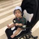 롤리팝 서클 | 기내반입 가능 절충형 유모차 [시크 롤리팝]
