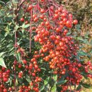 완산행정사사무소 이미지