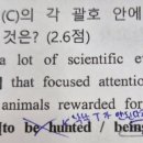 [수강후기] 영어 성적향상 후기 (염광고 이*우)