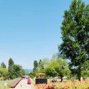 반딧불목장 이미지