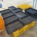 의주농장 이미지