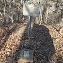 용산-154 Daum카페