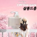 Salon de 홍 x LPP Hair pack 실사용 리얼후기