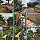 윤자농장 이미지