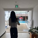 참좋은여행 보홀 2일차 일정|스쿠버 다이빙 체험|라메디 리조트 조식 후기