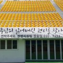 마이주주 - 광명시 광명로 918 | 마이주주