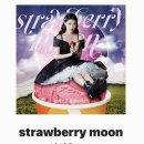 스트로우베리(strawberry) 이미지