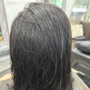 광주세종 | 광주 쌍촌동 미용실 세종헤어 매직+레이어드컷 후기