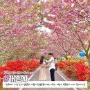 합도초등학교 이미지