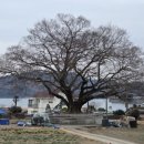 거목경로당 이미지