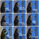 밈