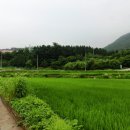 (주)용궁일라이트 이미지