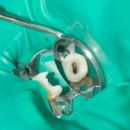 곽정원현미경치과의원 이미지