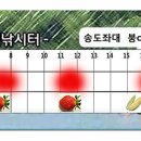 입큰붕어낚시터 이미지