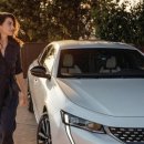 데일리모터스 이미지