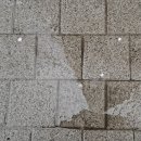 유명림행정사사무소 이미지