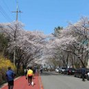 대구팔공초등학교 이미지