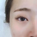 속눈썹, 이제 펌으로 자연스럽게! 안양 '래쉬 에이블' 다녀온 솔직 후기