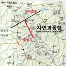 버스정류장 07-302 이미지