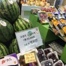 수박pc 이미지