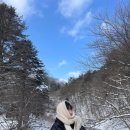 삼양신발 | 한겨울 강원도 평창 삼양라운드힐 후기-대관령 설경 여행지 추천⛄️