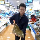 바다드림 이미지