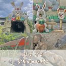 산토끼노래동산 관람시설+동물원 이미지