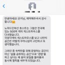 부산게스트하우스 노마드인부산 이미지