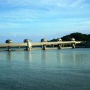 [1급과정] 손유희지도사 1급 이미지