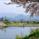 Korea, Wonderland? 참 이상한 나라 이미지