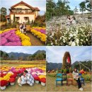 붕어섬3(휴광장) | 전북 임실 옥정호 출렁다리&amp;붕어섬생태공원_가을이 가기 전에 꼭 가보세요! 🌼