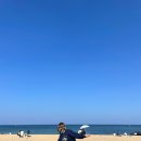 속초물산